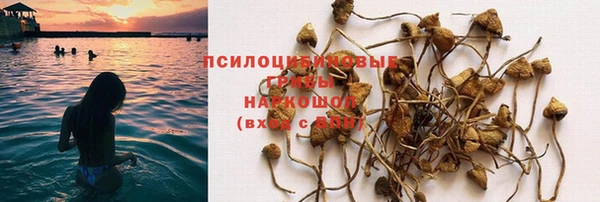 мяу мяу кристалл Нягань